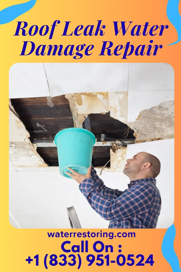 Roof Leak Water Damage Repair in Winter, WI